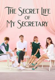 ซีรี่ย์เกาหลี The Secret Life of My Secretary ชีวิตลับคุณเลขา (พากย์ไทย) EP.1-16 (จบ)